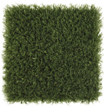 Playground Grass Extreme